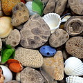 Petoskey Stones lll
